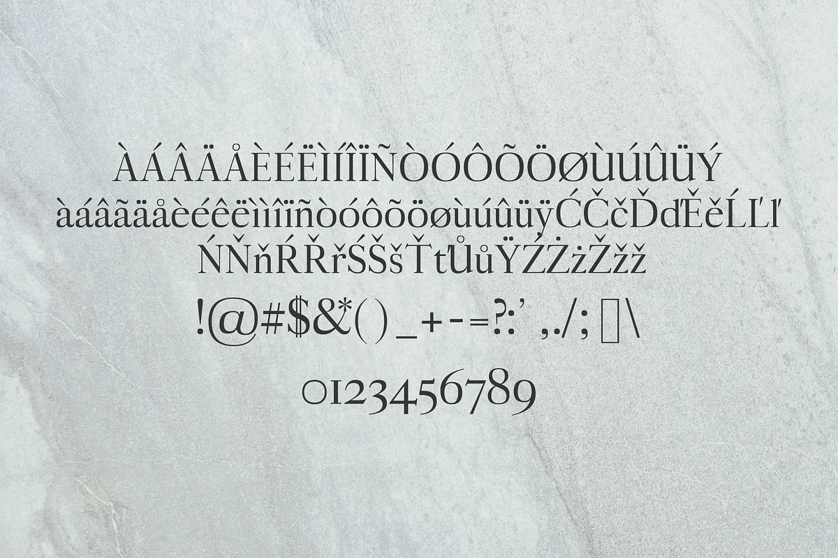 Aludra Serif 12 Font Family Pack preview 3