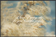 Plum Blossom Floral Backgrounds, a Background Graphic by lerinartstudio (Thumbnail 11 of 11)