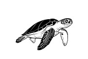 50 Sea Turtle Vector Silhouette Bund, an Illustration by jahid234 (Thumbnail 9 of 51)