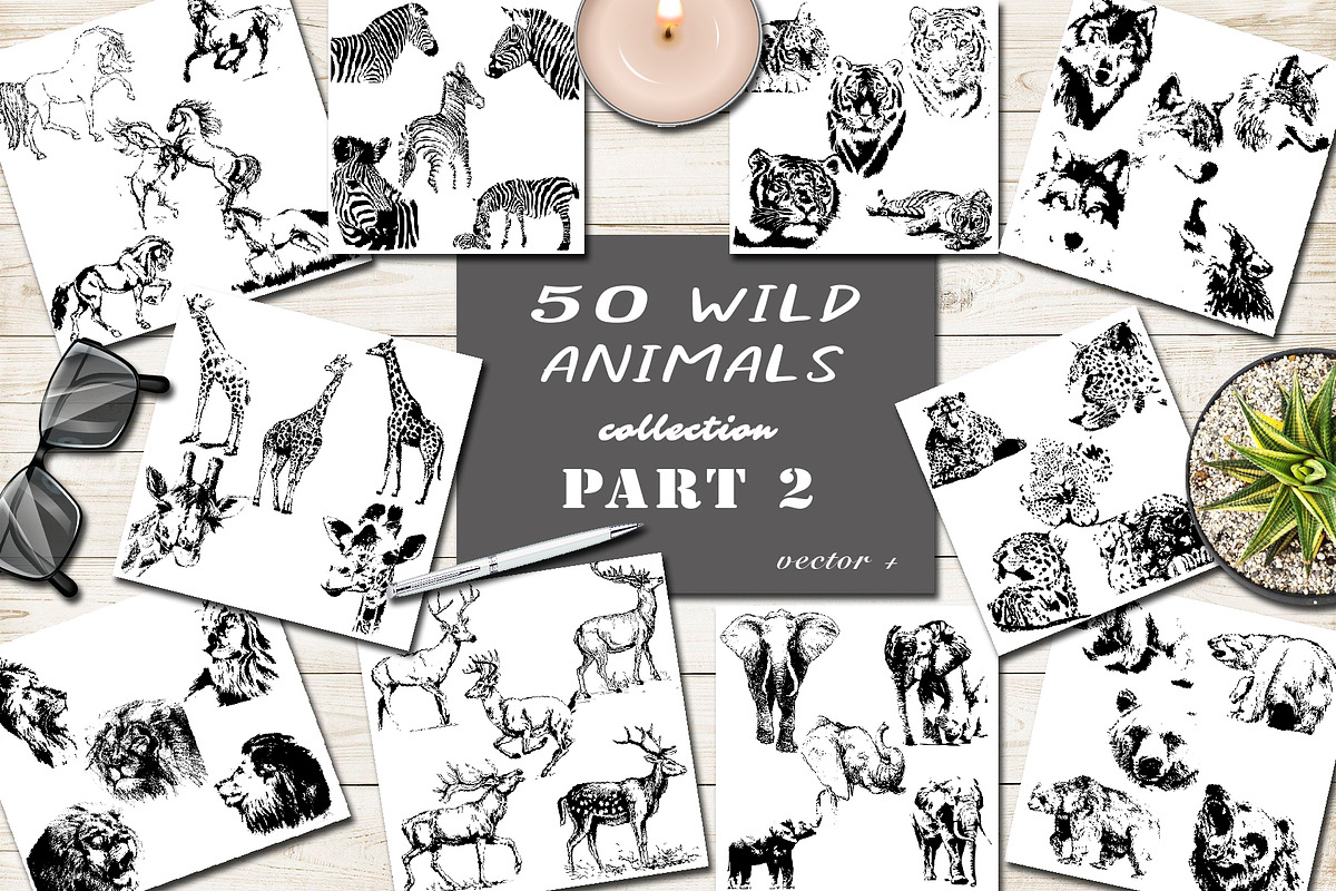 BUNDLE WILD ANIMALS VECTOR, an Animal Illustration by AnastasiyaOleynik (Photo 3 of 20)