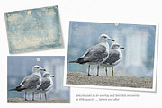 Coastal Fog Neutrals, a Texture Graphic by rileyBgraphics (Thumbnail 3 of 7)