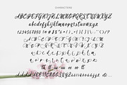 Rosedita Script, a Script Font by cove703 (Thumbnail 11 of 12)