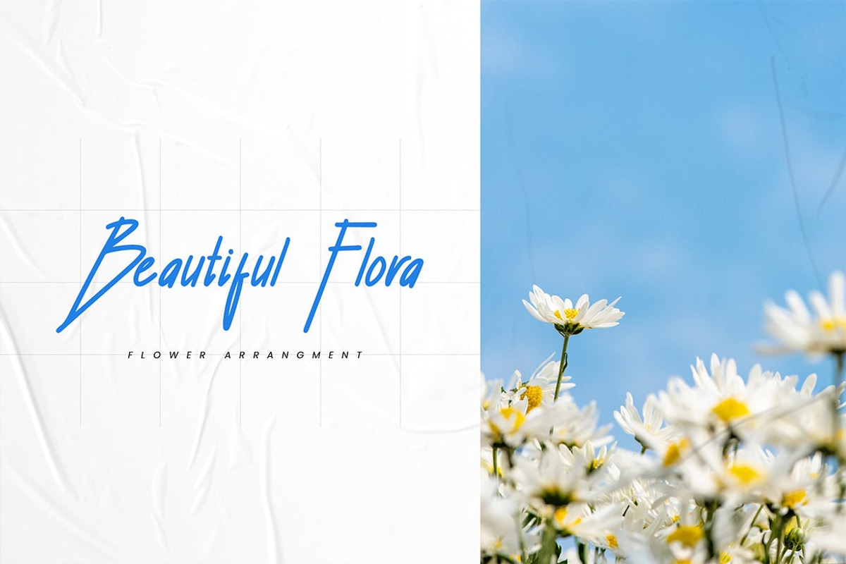Shelley - Elegant Handwritten Script, a Script Font by Luna Shop (Photo 4 of 6)