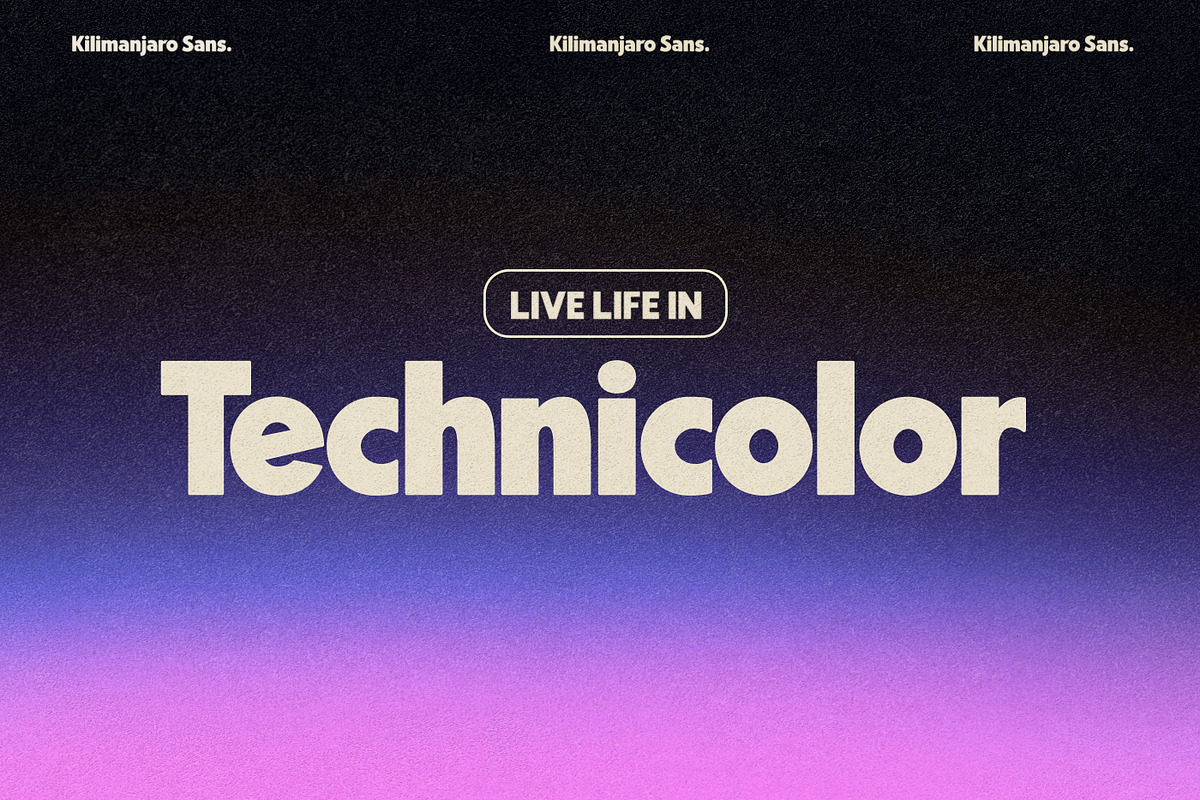 Kilimanjaro Sans (36 fonts), a Font by Nicky Laatz (Photo 55 of 75)