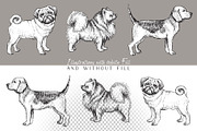 Dog breeds vintage hand drawn vector, an Illustration by Aquatinta (Thumbnail 2 of 8)