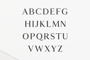 Hyogo A Modern Serif Font Family