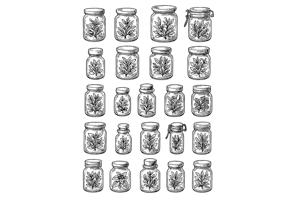Glass Jars with Herbs Engraving Set, an Object Graphic by nikagraphic (Photo 1 of 3)