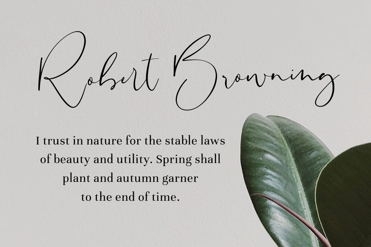 Sheridan - Signature Font preview 6