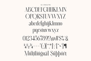 Megalme - Modern Serif Display Font, a Serif Font by Megatype (Thumbnail 13 of 17)