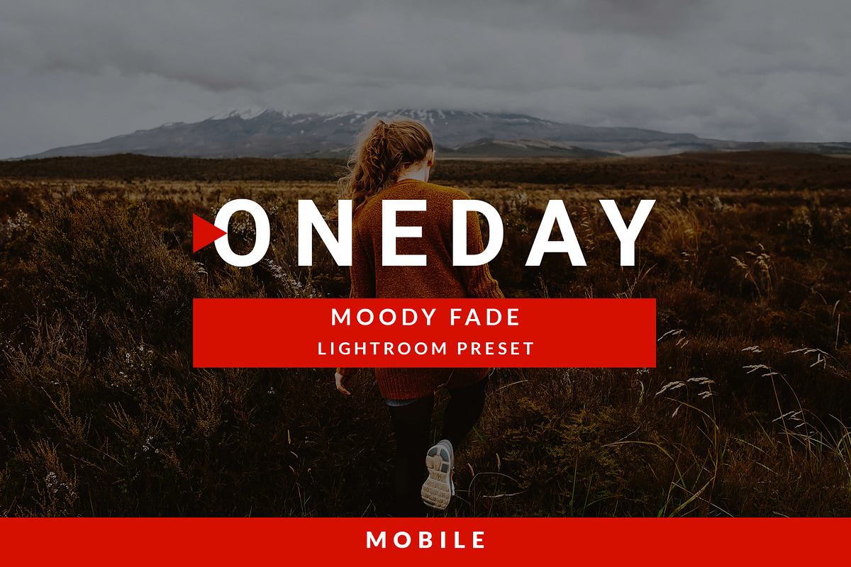 Mobile Oneday : Moody Fade Lr preset preview 2
