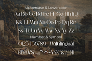 Mirage Against - Luxury Real Estate, a Serif Font by Sohel Studio (Thumbnail 11 of 12)