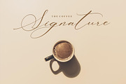 Patricia Rustine Luxury Script Font, a Script Font by Letterena Studios Script (Thumbnail 5 of 15)