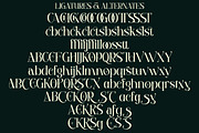 Permola - Display Serif, a Serif Font by tebaltipislab (Thumbnail 18 of 20)