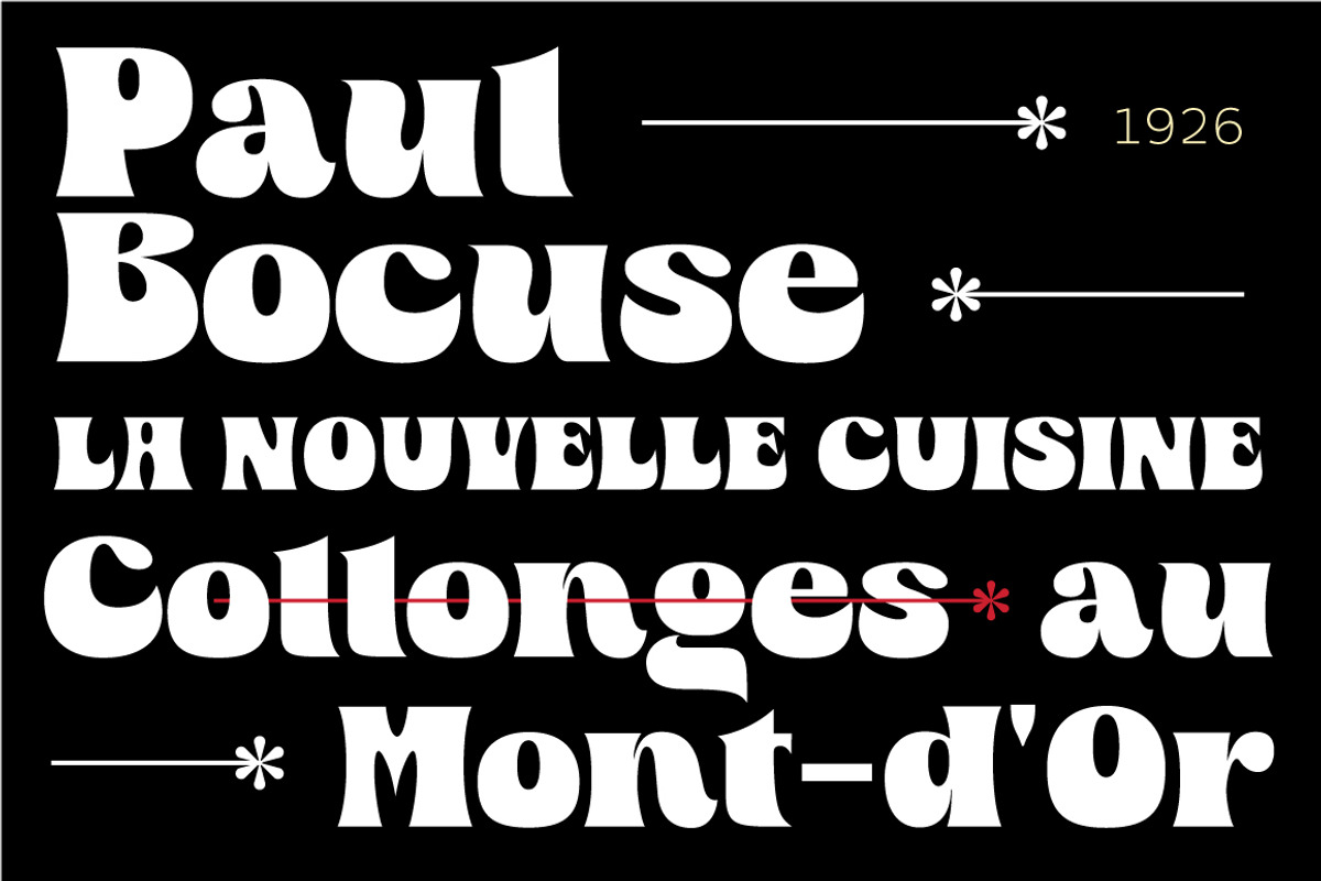 Barta, a Serif Font by Jan-Christian Bruun (Photo 12 of 12)