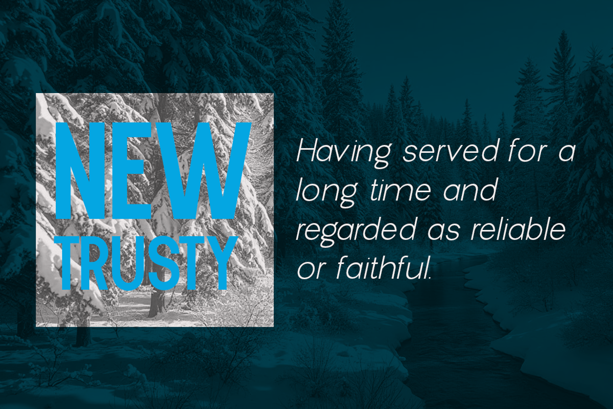 New Trusty, a Sans Serif Font by groens (Photo 5 of 6)