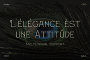 Aurlen – Elegant Serif, a Serif Font by Craft Supply Co. (Thumbnail 3 of 8)