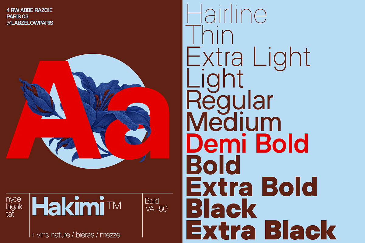 ZT Hakimi - 22 Fonts & Variable, a Sans Serif Font by zelow type (Photo 3 of 16)