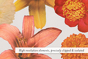 Retro Perennial Vintage Floral PNGs, an Object Graphic by Ashley Alexandra Design (Thumbnail 2 of 9)