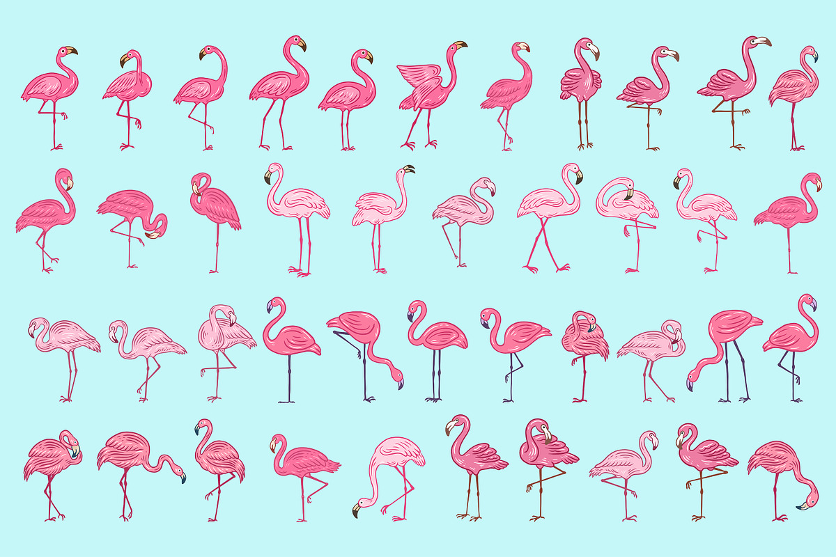 42 Set Cute Flamingo pink Bird, an Animal Illustration by Morspective (Photo 9 of 9)