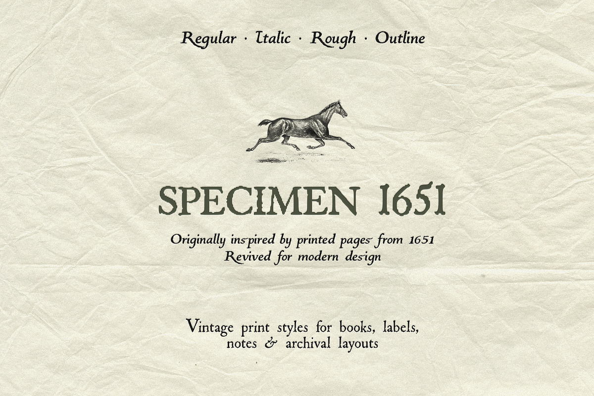 Specimen 1651: Vintage Font Family, a Serif Font by Mneme (Photo 14 of 14)