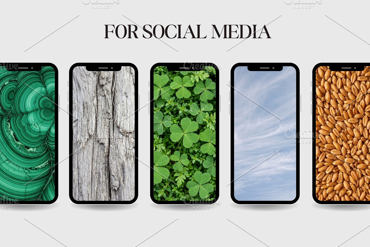 100 Organic Nature Texture, a Background Photo by Selenique Studio (Photo 4 of 10)
