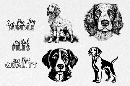 Brittany Spaniel SVG - Dog Clipart