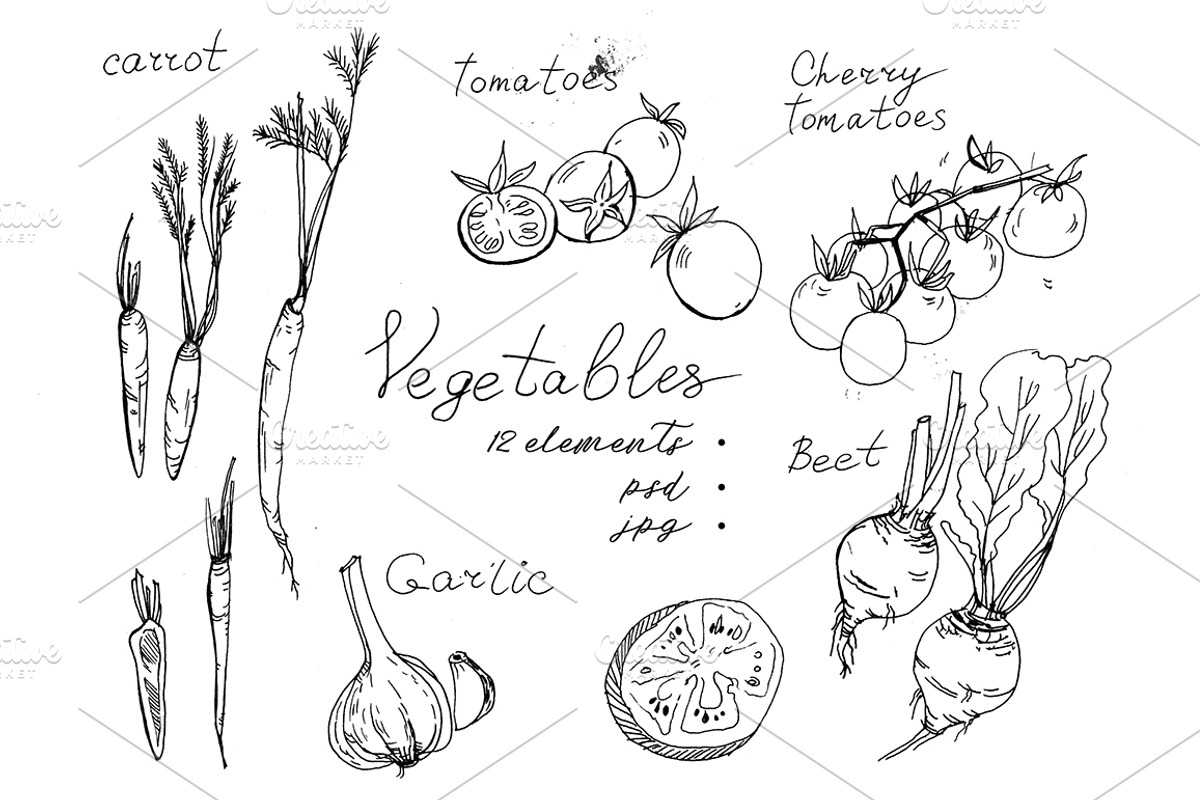 Vegetables. Black and white graphics, a Food Illustration by Olesya Morokhovets