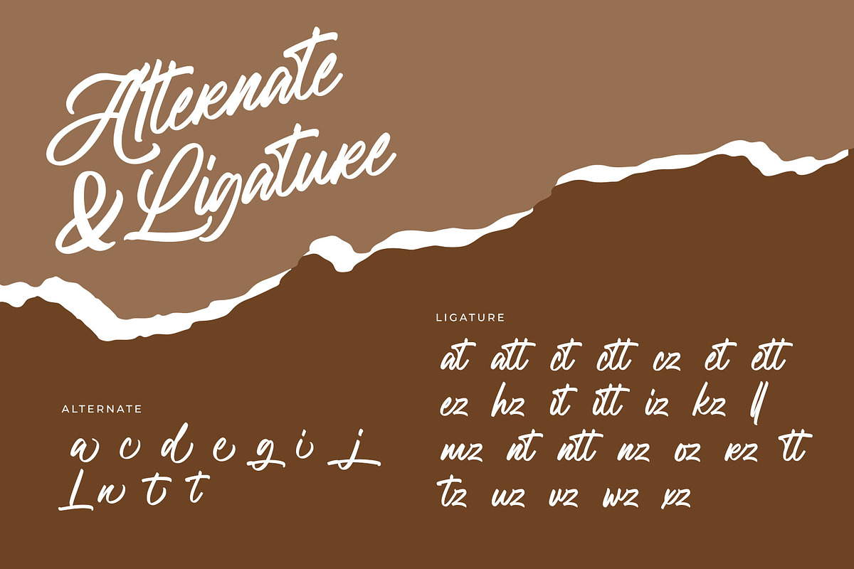 Febianty Modern Script Font, a Script Font by RantautypeStudio (Photo 15 of 16)
