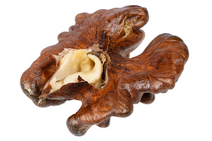 A peeled walnut kernel with characteristic ridges and brown skin, a Food & Drink Photo by ndanko