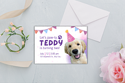 Let's Paw-ty Pet Birthday Invitation, a Design Template by TemplateCastleStore (Thumbnail 4 of 9)
