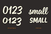 Sanelma, a Script Font by Mika Melvas (Thumbnail 10 of 11)