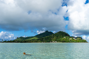 Dog swimming in the turquoise lagoon of Maupiti, French Polynesi, a Nature Photo by GoodGoods