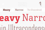 Triunfo PACK #1, a Sans Serif Font by graffistyling (Thumbnail 1 of 11)