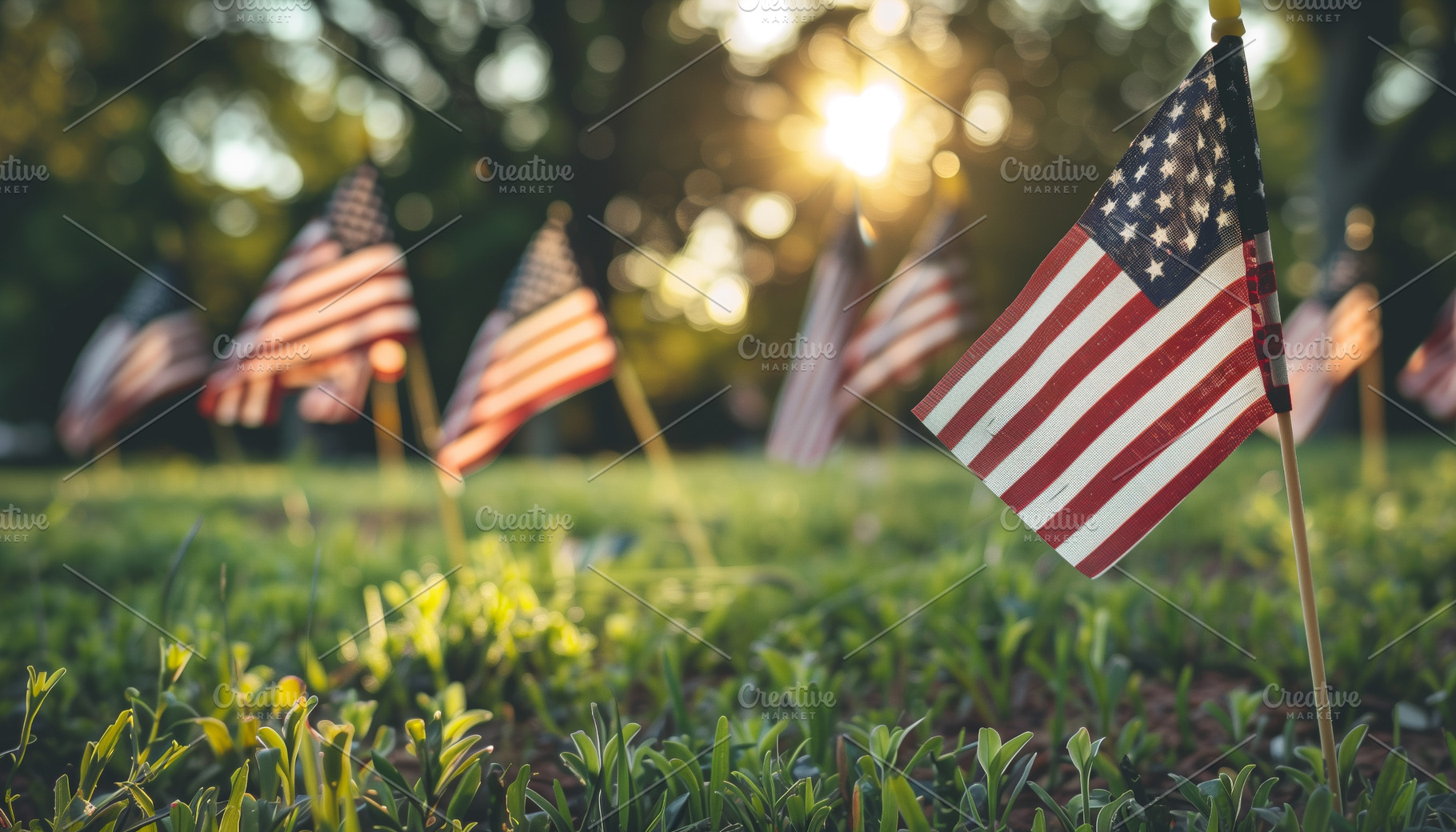 American flags on a memorial day., a Holiday Photo by MistyDay