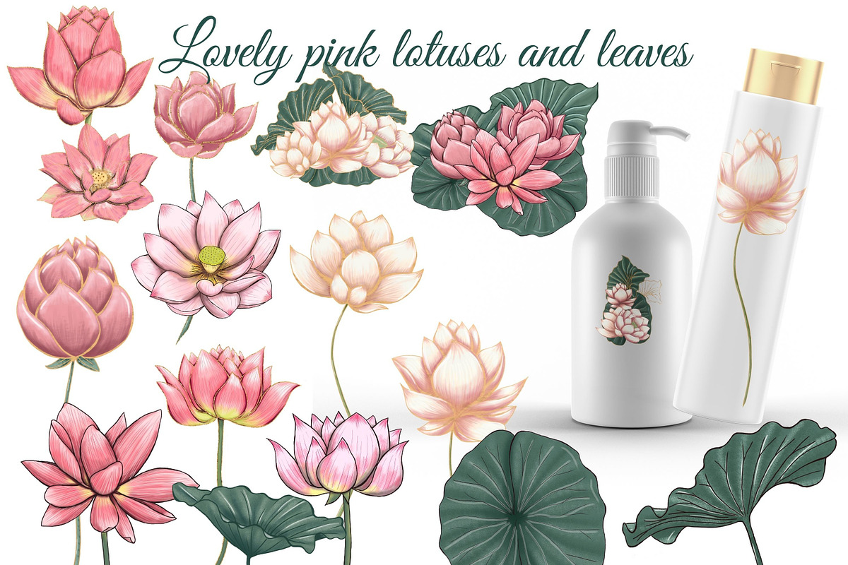 Pink and gold lotus & water lilly, a Work Illustration by Mrs.Swan_Design (Photo 2 of 6)