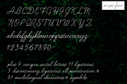 Secret Garden | Classic Font Duo, a Script Font by ElleMarieCalligraphy (Thumbnail 6 of 21)