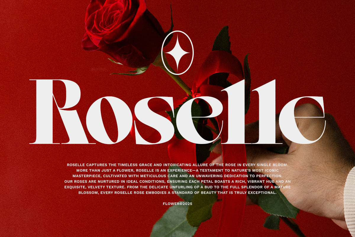 Galium Display, a Sans Serif Font by executypeStudio (Photo 13 of 14)