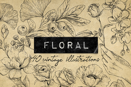 40 Vintage Floral Illustrations