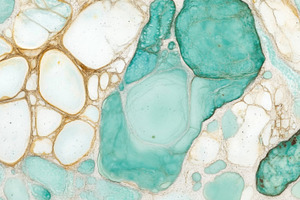 Close-up view of turquoise stone tex, a Photo by Dvoevnore photos