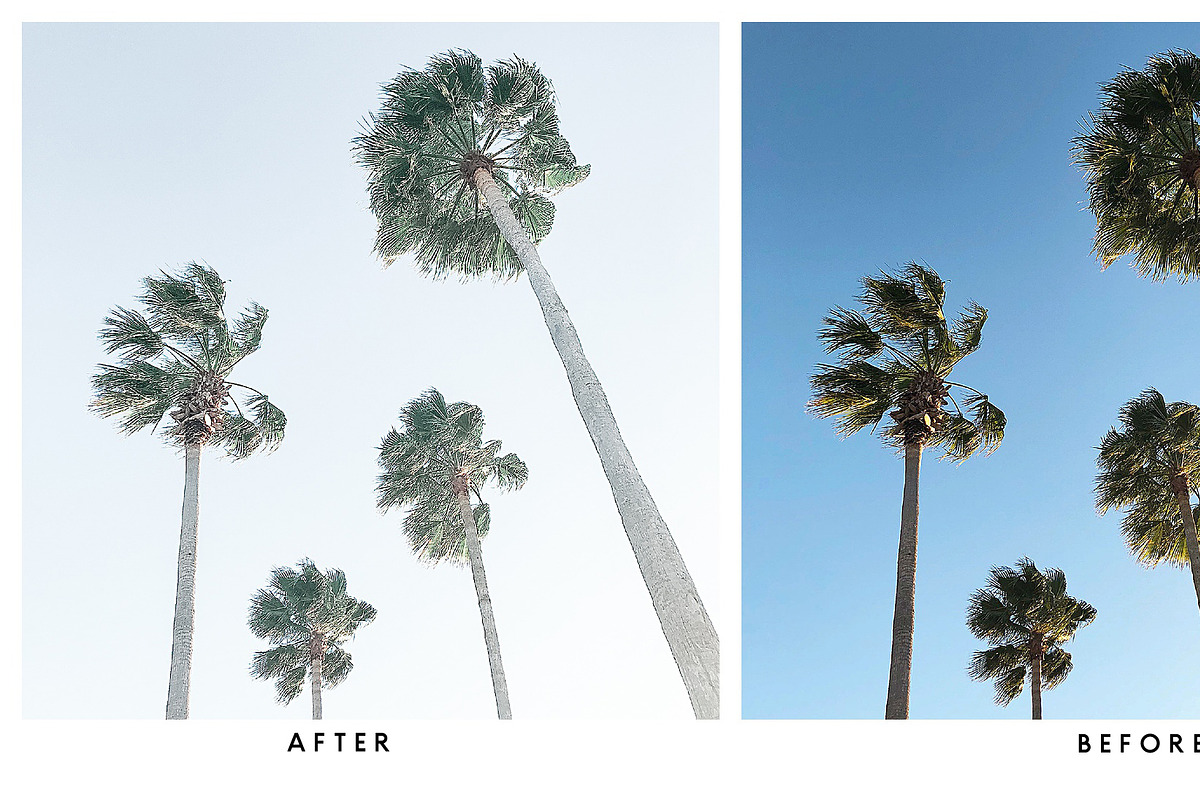 Natural Lightroom Mobile Preset, an Action Add-On by Lux Light (Photo 21 of 28)