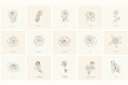 Birth-Flowers. Trendy Plants, Logos, a Seasonal Illustration by Designwork (Thumbnail 14 of 21)