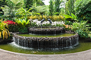 Singapore Gardens, a Photo by saiko3p