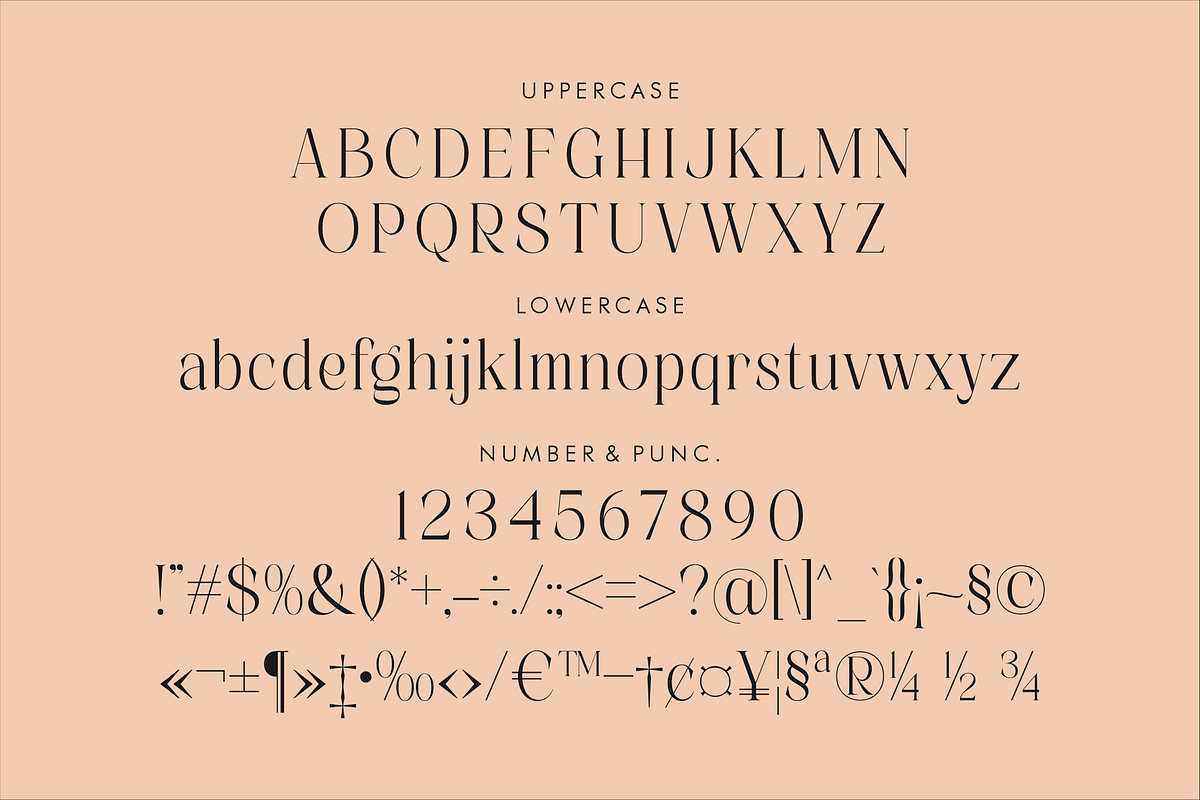 Alchadera A Modern Serif Font, a Serif Font by Storytype Studio (Photo 13 of 15)