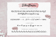 Elderflower script font + logos, a Script Font by Tabita's shop (Thumbnail 11 of 15)