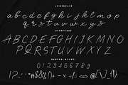 Camelia Stylish Signature, a Script Font by Beka Studio (Thumbnail 5 of 6)