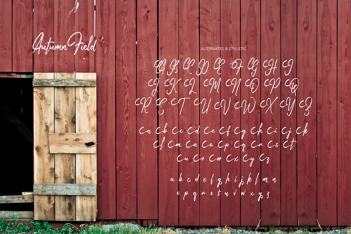 Autumn Field - Handwriting Type, a Script Font by ikiiko (Photo 6 of 7)