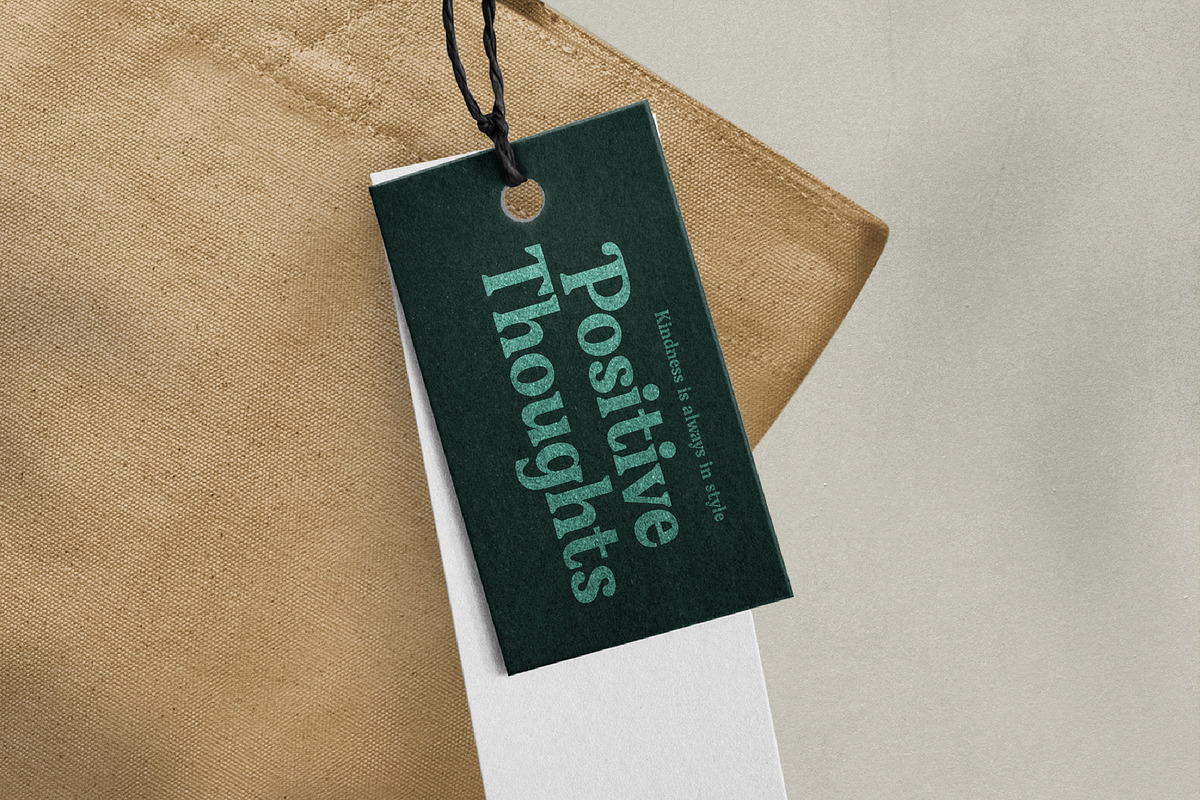 Gafjust Minfine Modern Serif, a Serif Font by timelesstype.co (Photo 15 of 20)