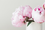 Pink Peony Bundle + 3 Bonus Images, a Nature Photo by Light & Grace (Thumbnail 7 of 8)