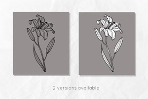 Lily Flowers Line Art SVG