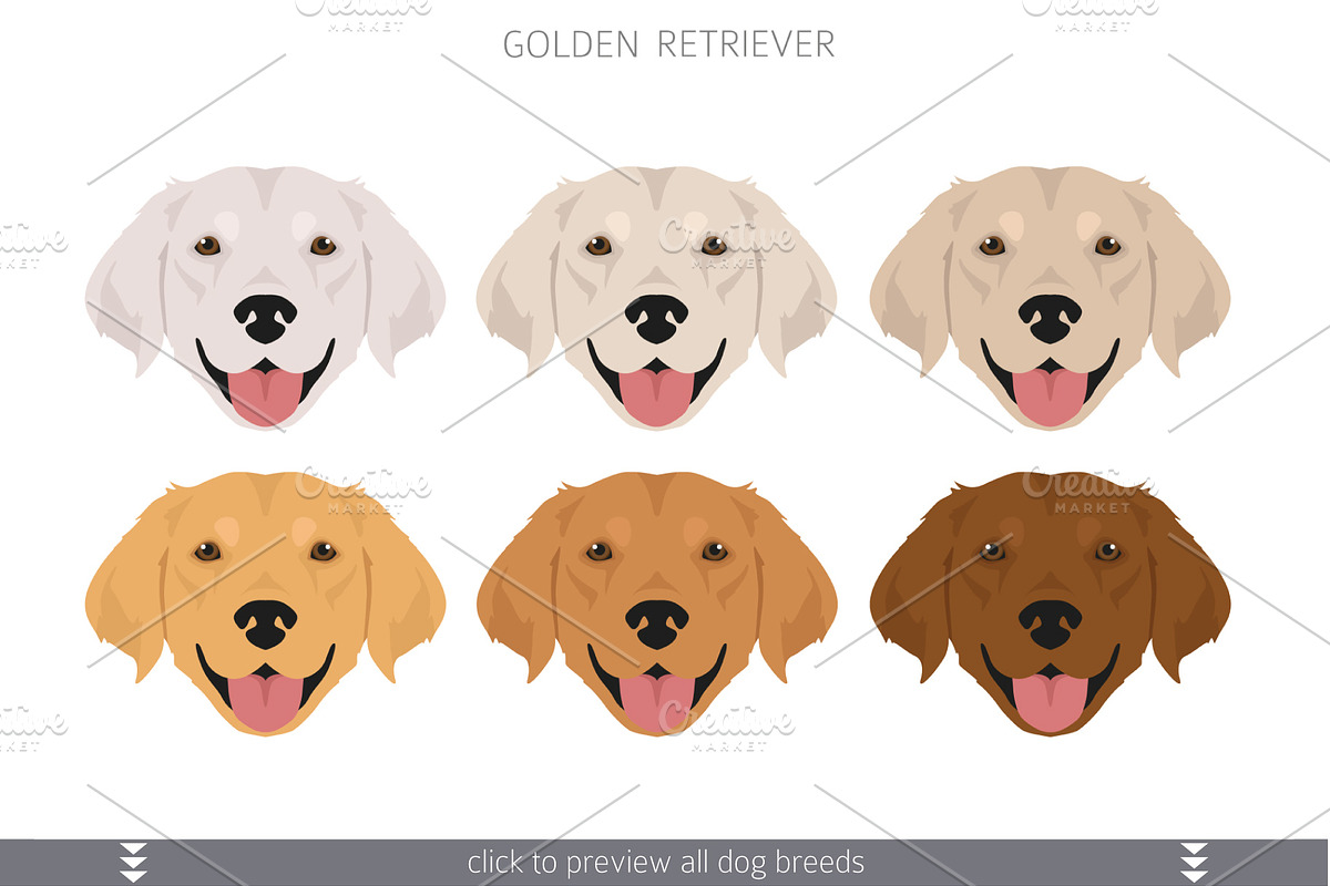 The Encyclopedia of Dogs - Gun Dogs
